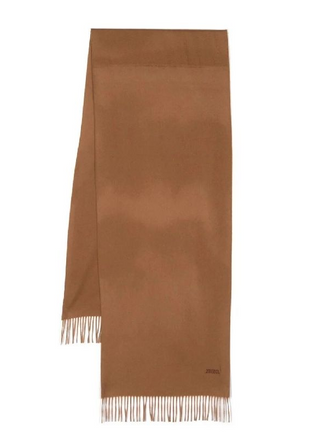 Zegna Fine Wool Fringed Scarf in Brown