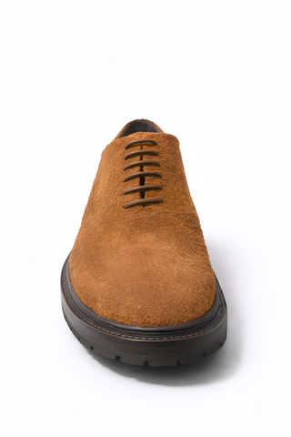Tod’s Brown Suede Brown Derby Shoe