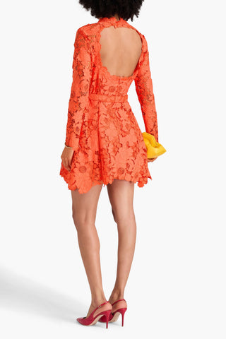OSCAR DE LA RENTA BELTED CUTOUT GUIPURE LACE MINI DRESS - Size 6